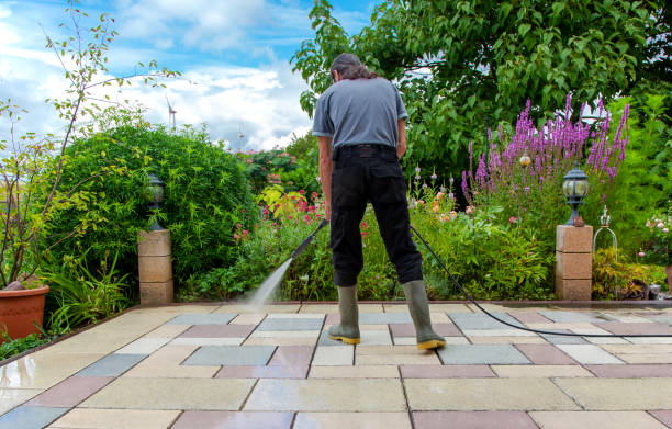 Best Roof Cleaning and Mildew Removal in Edgewood, MD